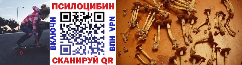 блэк спрут как зайти  Ясногорск  Псилоцибиновые грибы Psilocybe 